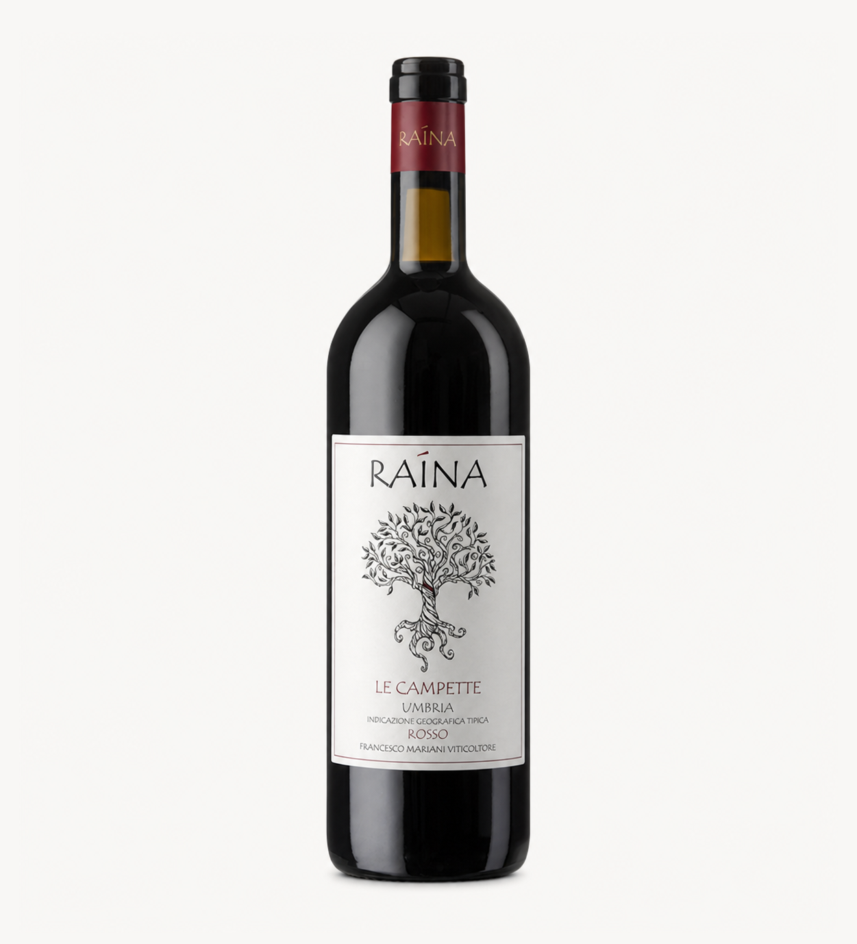 Raina 브랜드 이미지