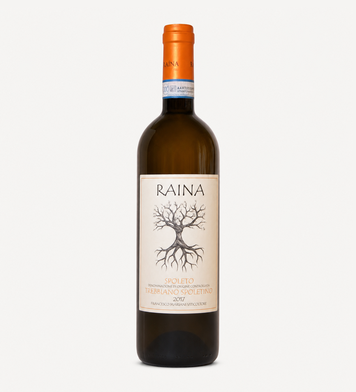 Raina 브랜드 이미지